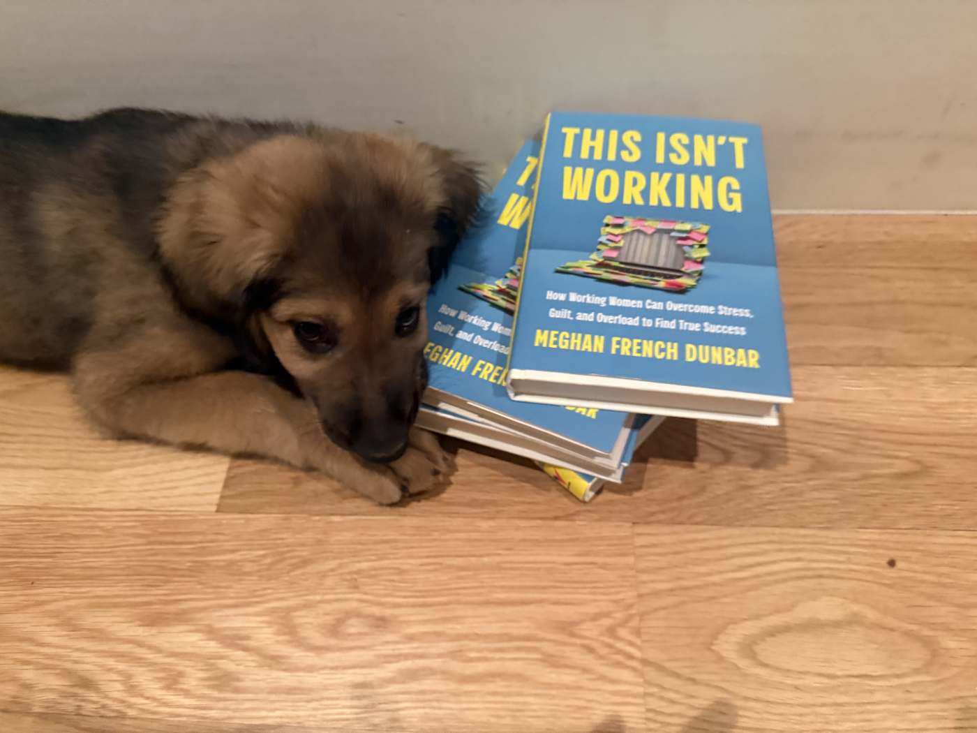 A group of friends outdoors holding copies of This Isn't Working
